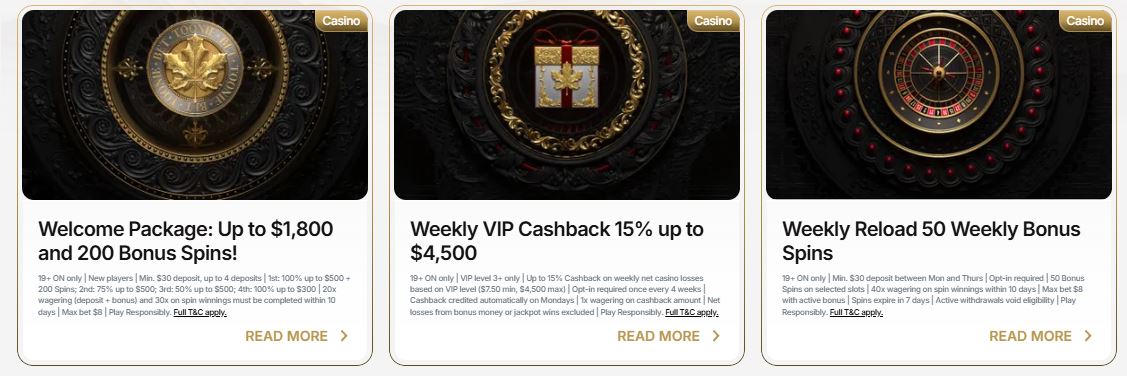 Claim welcome package, VIP cashback, and weekly reload spins on the Tooniebet promotions page