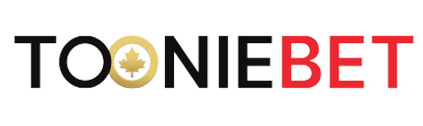 Is the 1996 Toonie Worth Money Today? — Toonie Casino Canada Overview